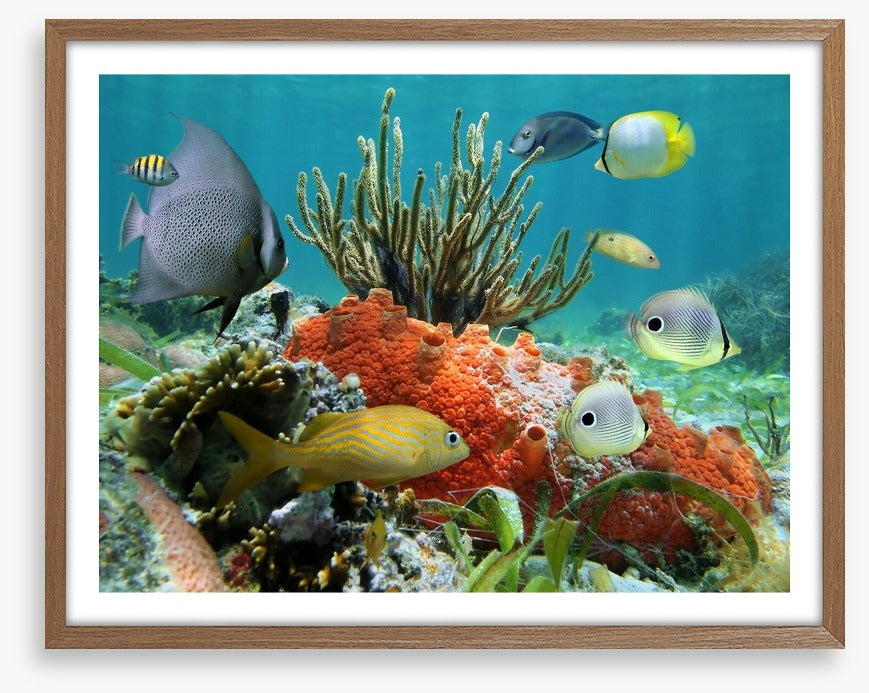 Underwater