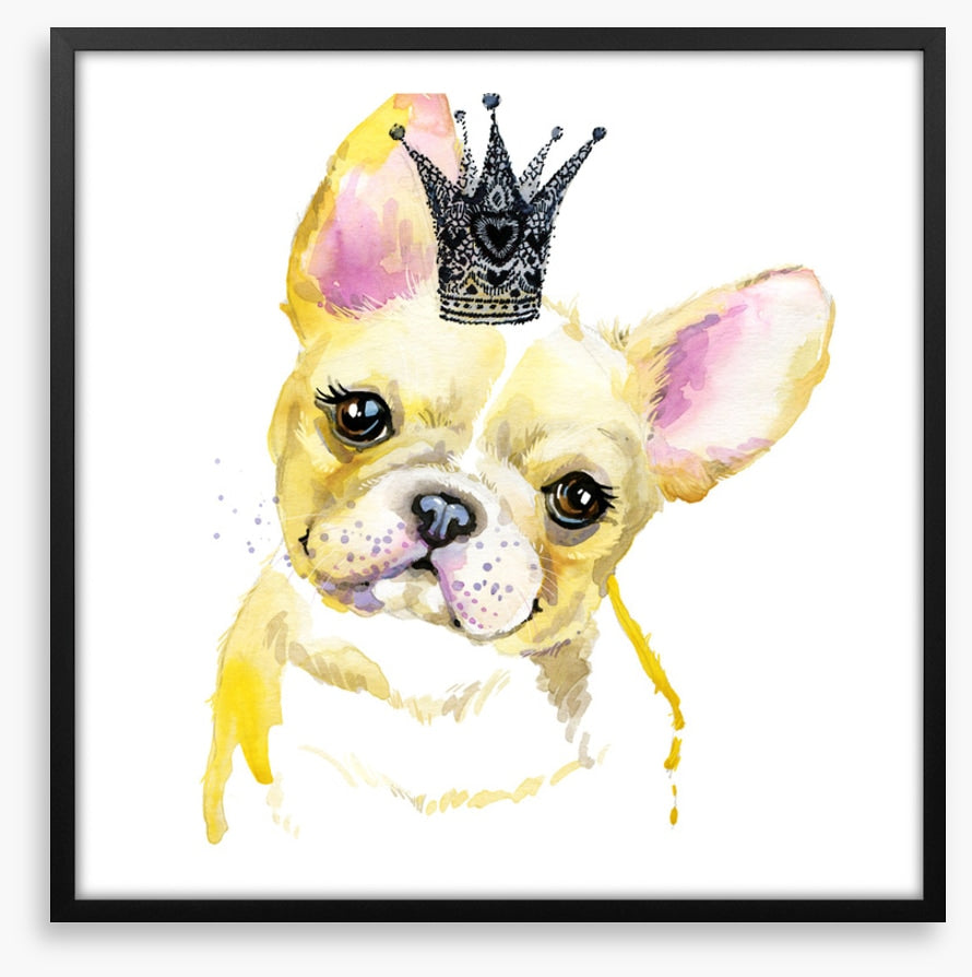 Princess pooch II
