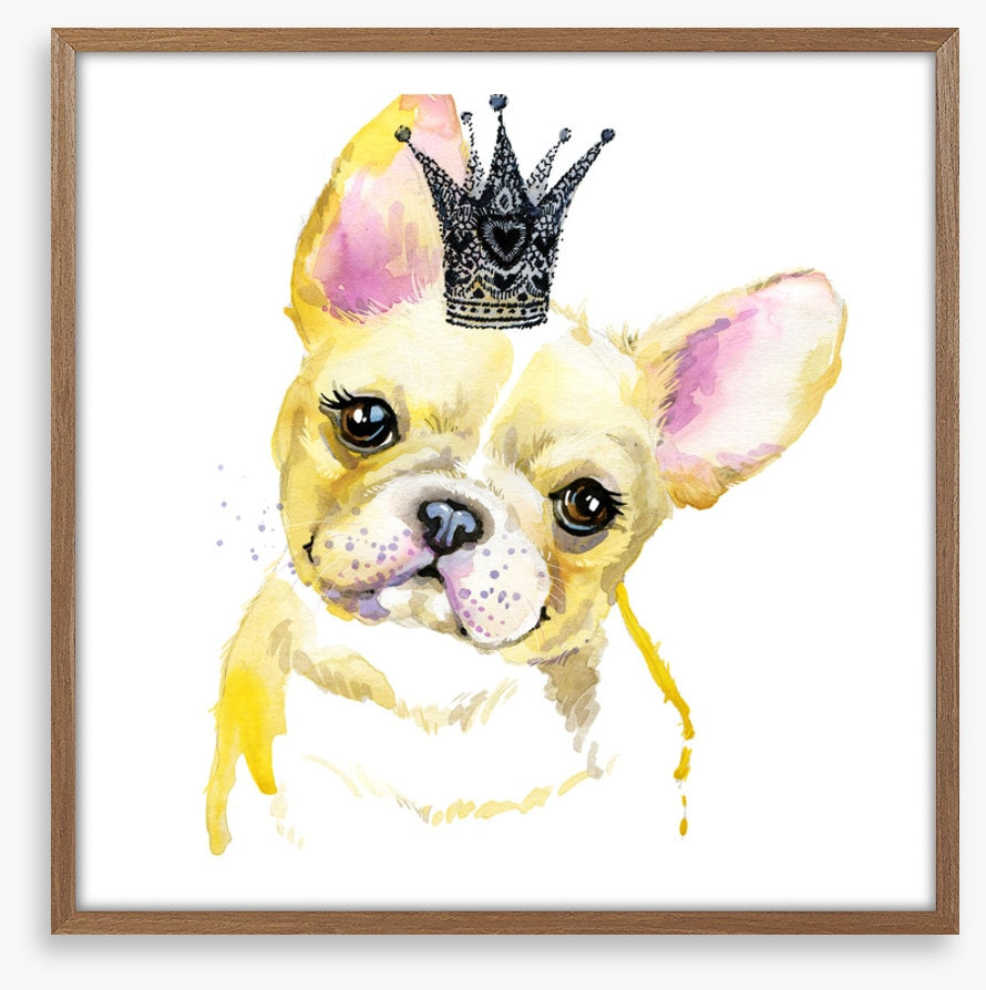 Princess pooch II