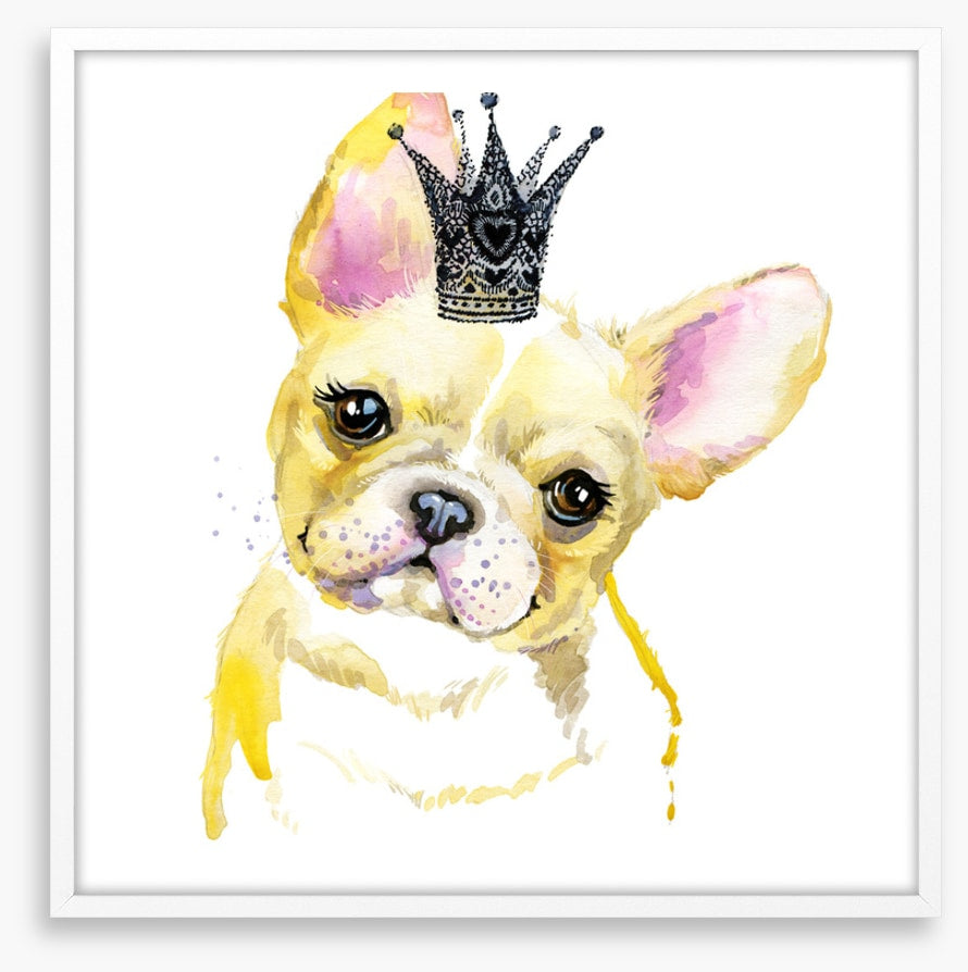 Princess pooch II