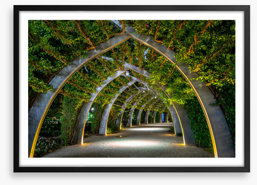 Brisbane Arbour by night