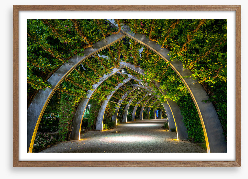 Brisbane Arbour by night