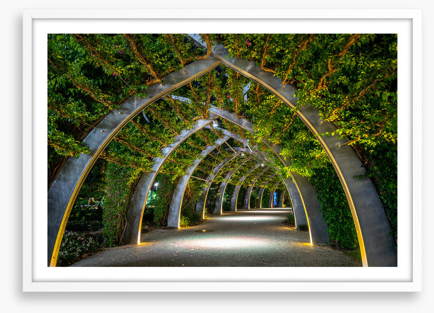 Brisbane Arbour by night