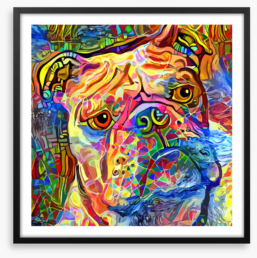 Kooky bulldog