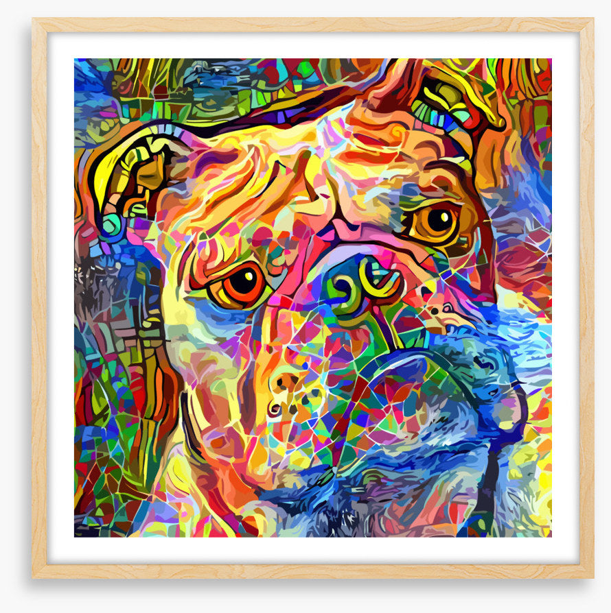Kooky bulldog