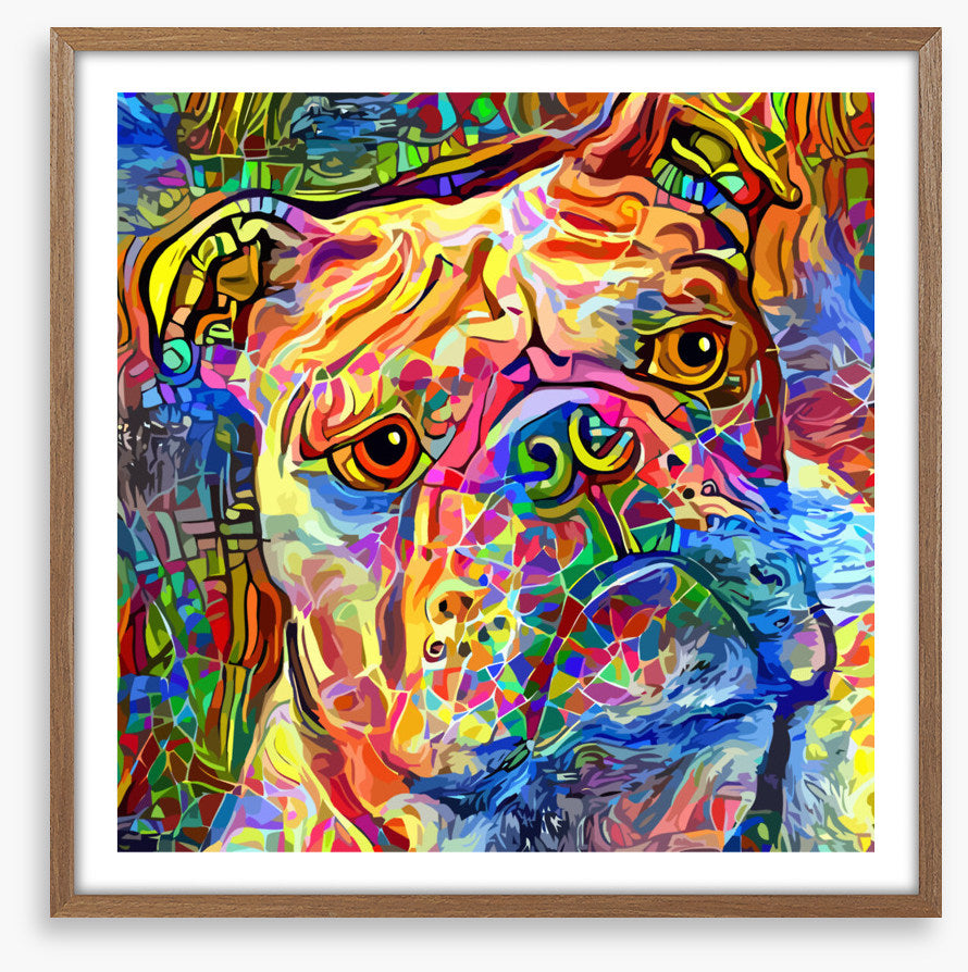 Kooky bulldog