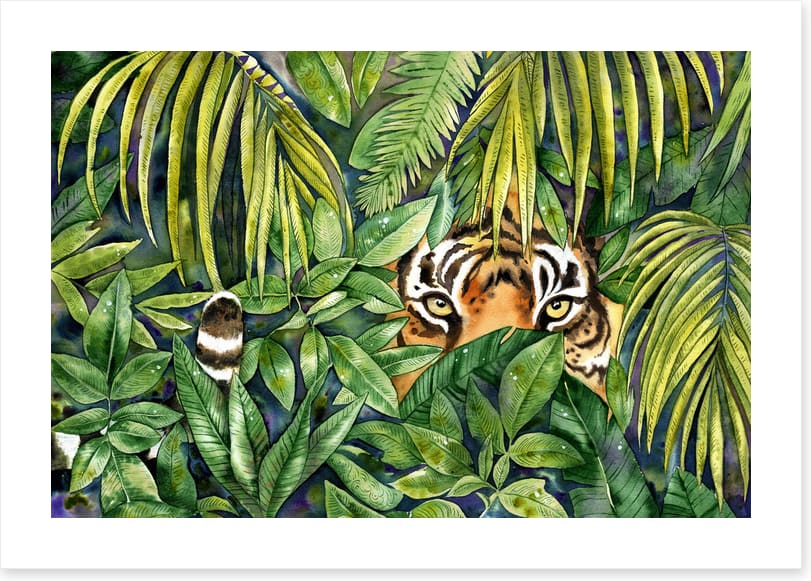 Eye spy tiger