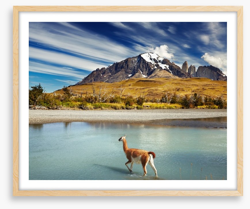 Torres del Paine National Park