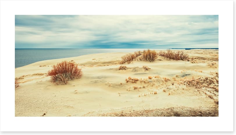 From sand to sea