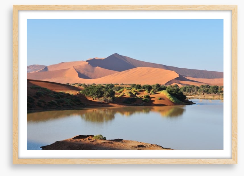 Desert