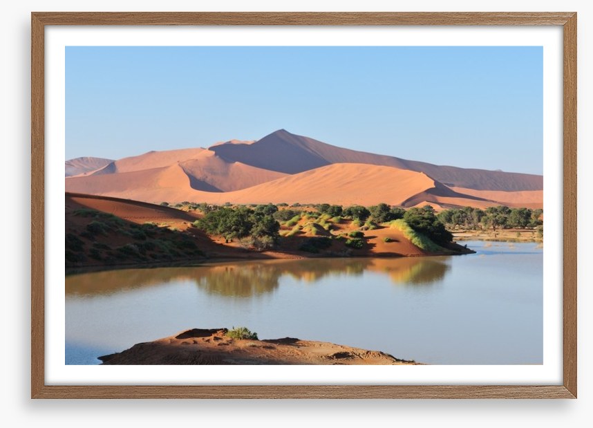 Desert