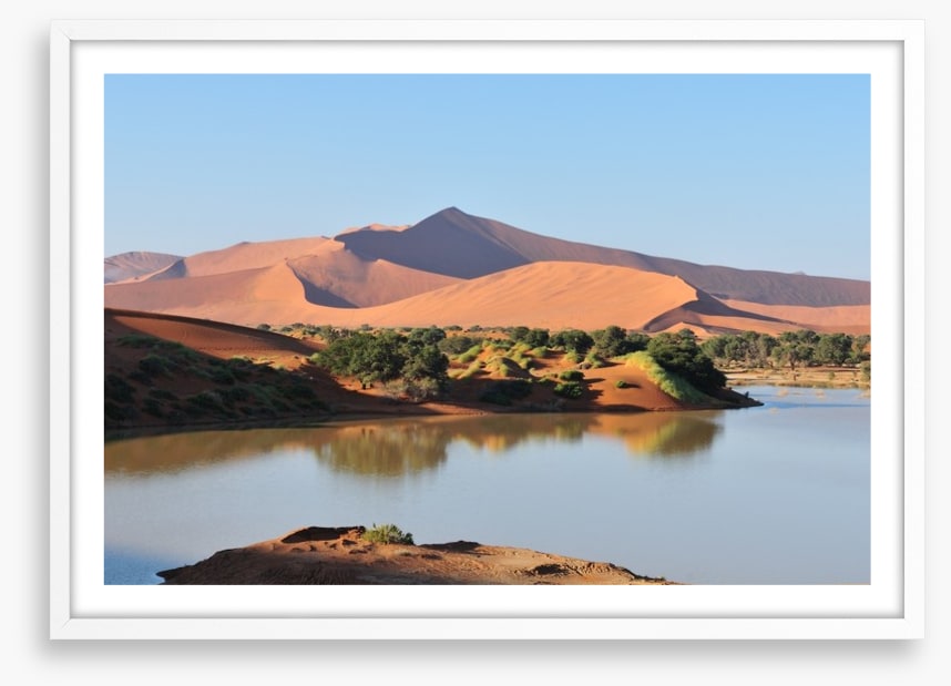 Desert