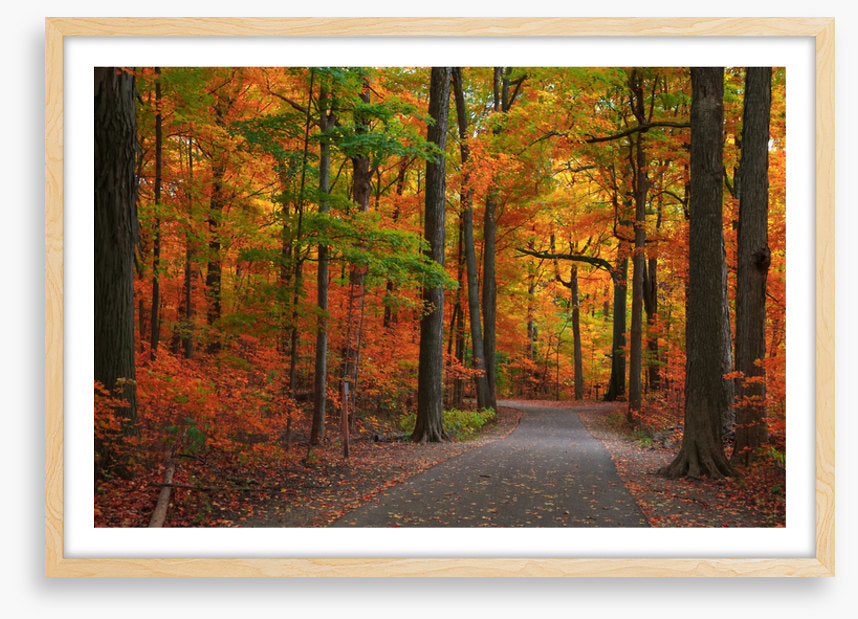 Autumn