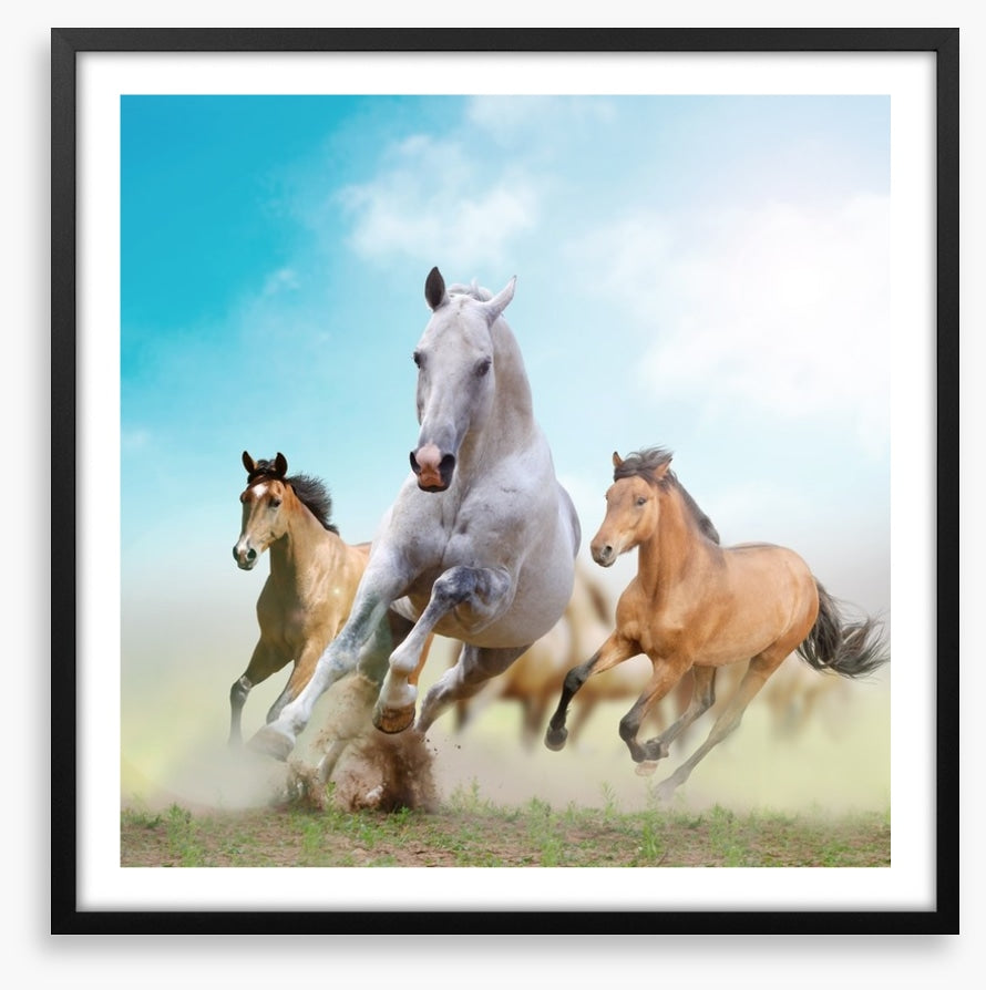 Running horses