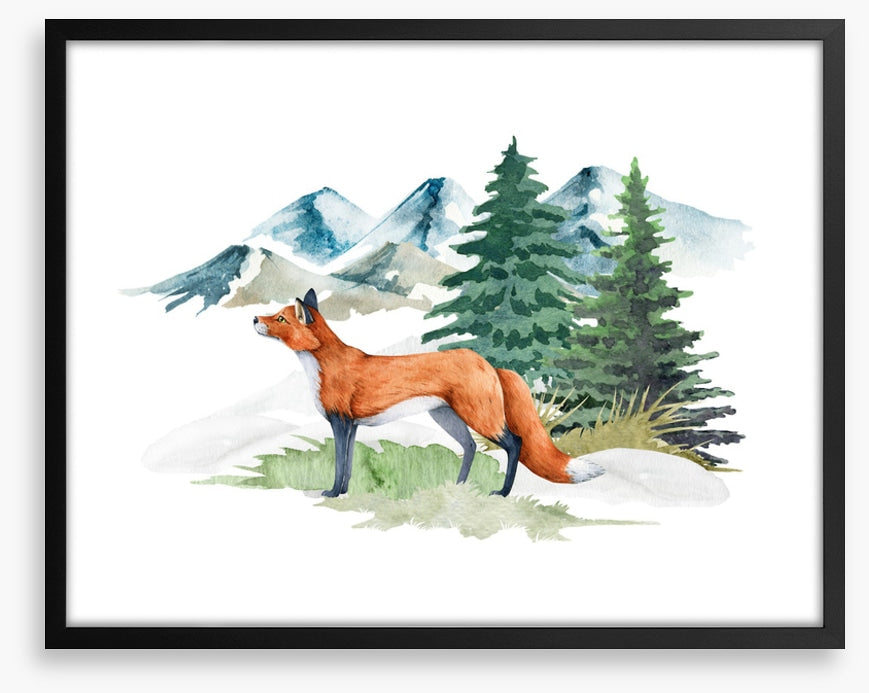 Mountain fir fox
