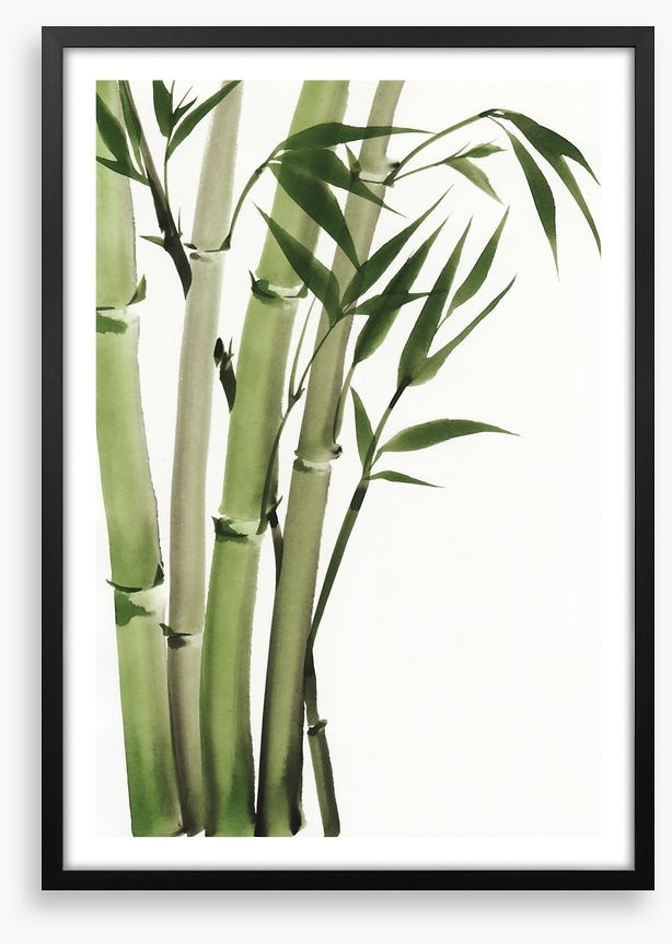 Elegant bamboo