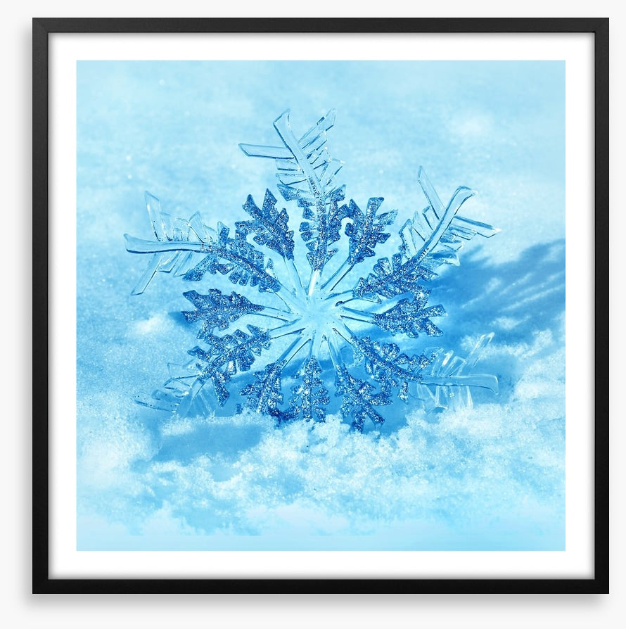 Frozen flake