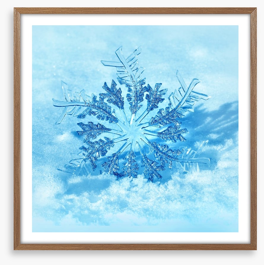 Frozen flake