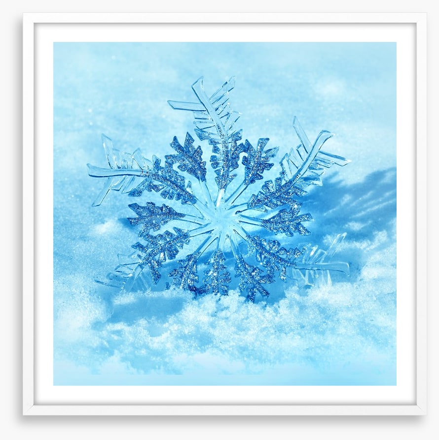 Frozen flake