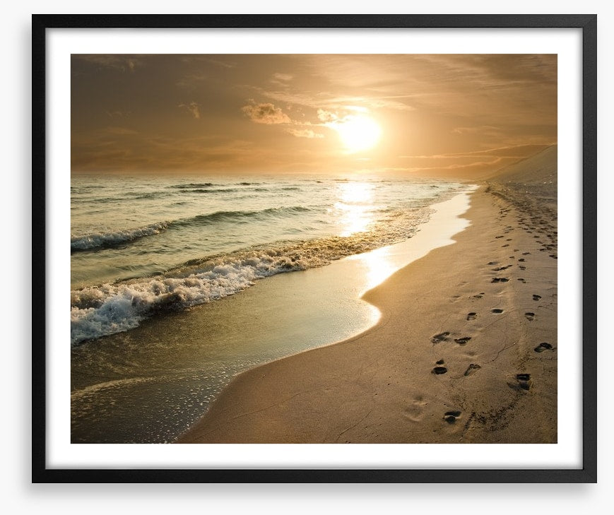 Golden sunset on the shore