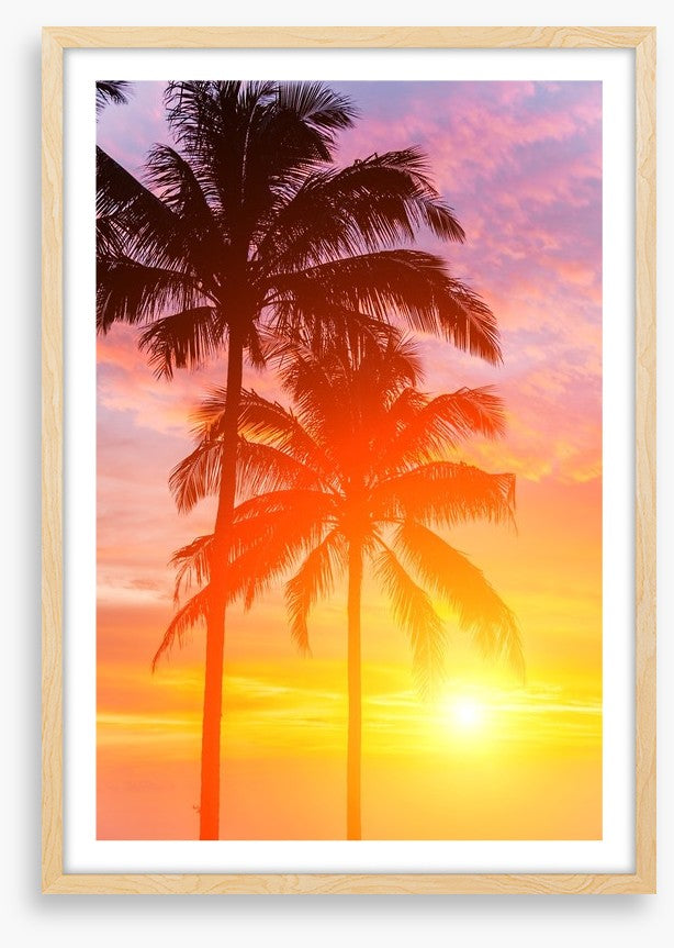 Palm tree sundown
