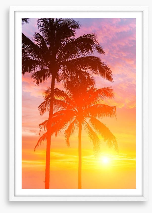 Palm tree sundown