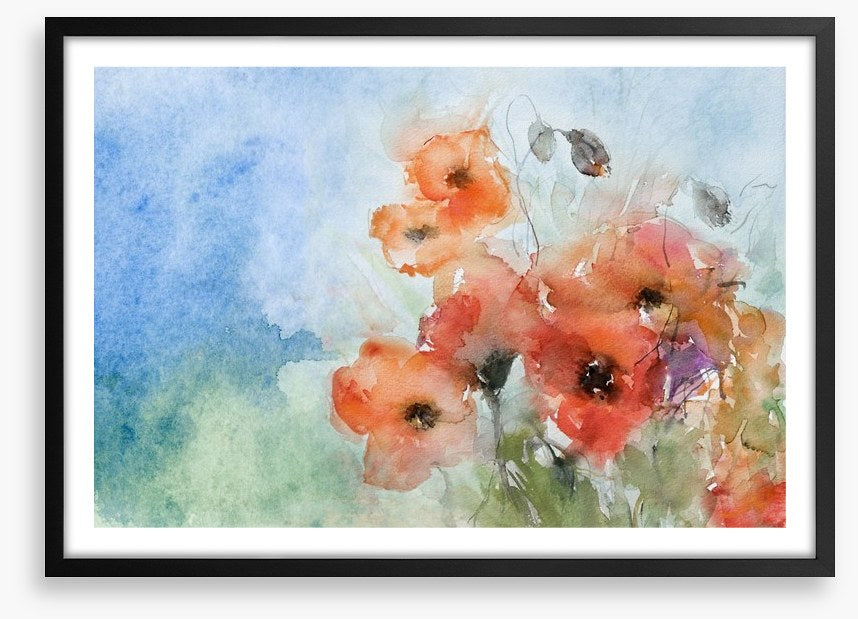 Poppies in the breeze