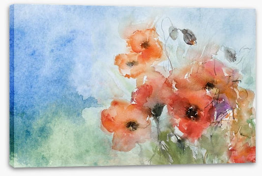 Poppies in the breeze