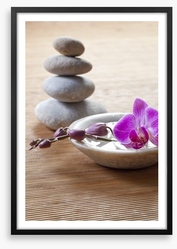 Pampering orchid