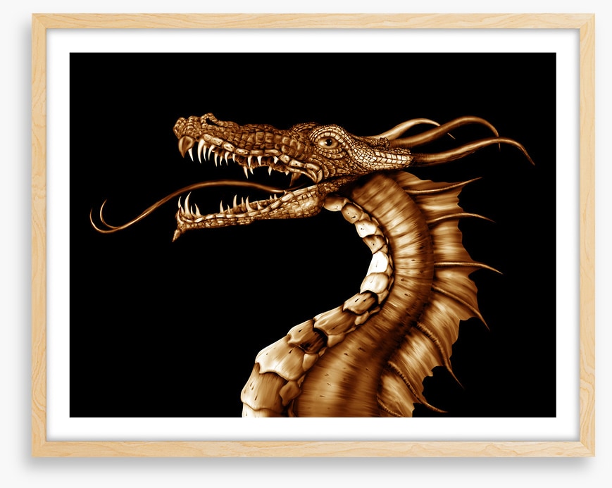 Dragons