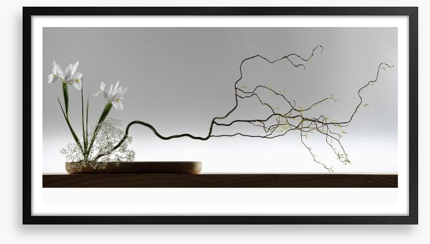 Ikebana