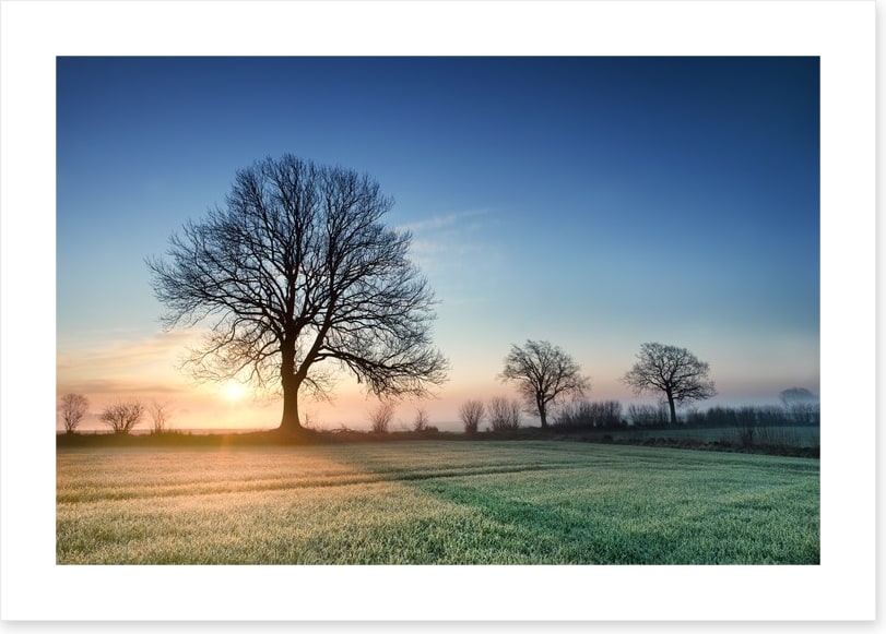 A new day dawns