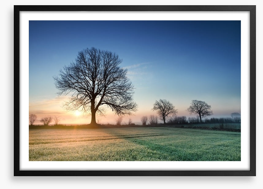 A new day dawns