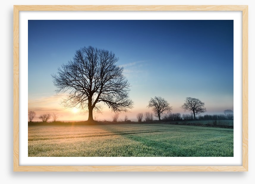 A new day dawns