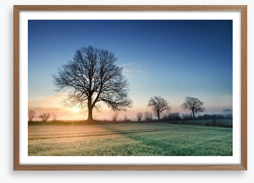 A new day dawns