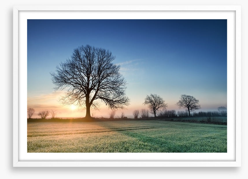 A new day dawns
