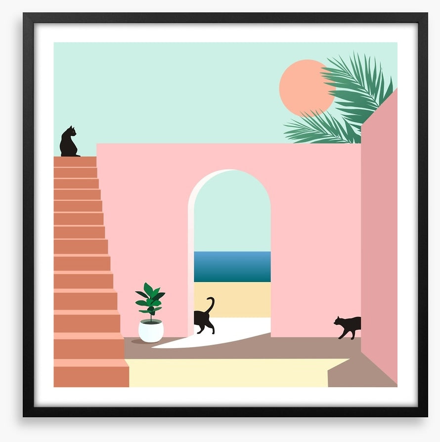 Black cat arch