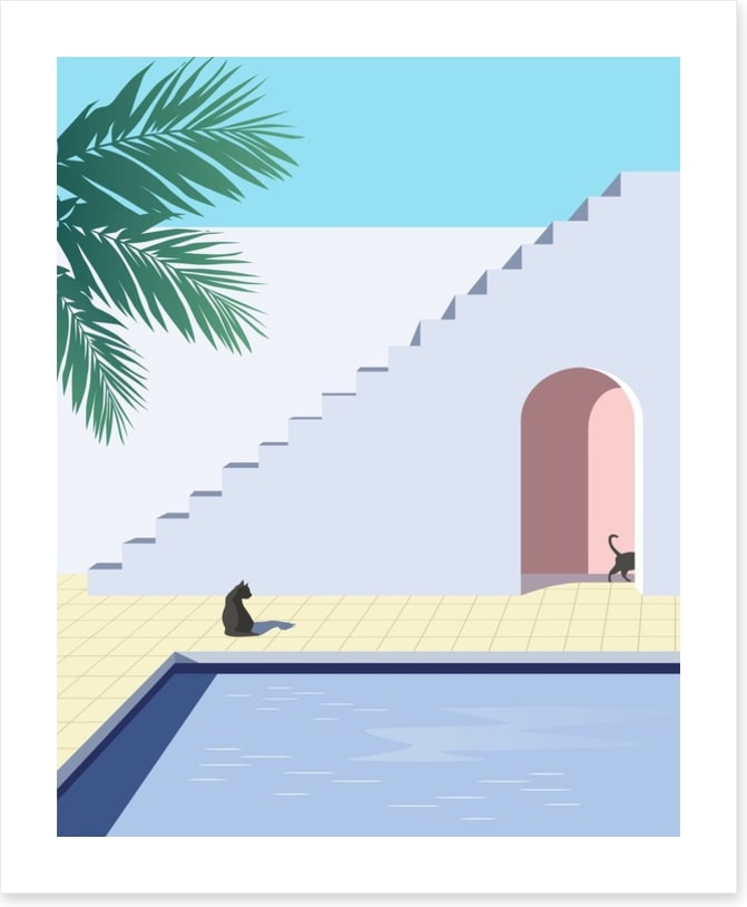 Black cat pool