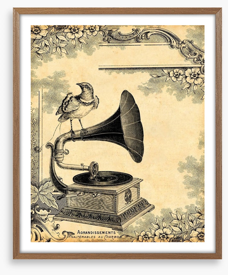 Vintage gramophone