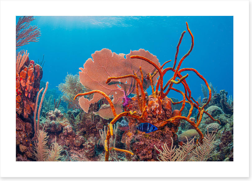 Underwater