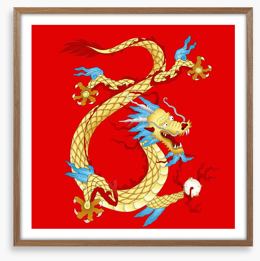 Dragons