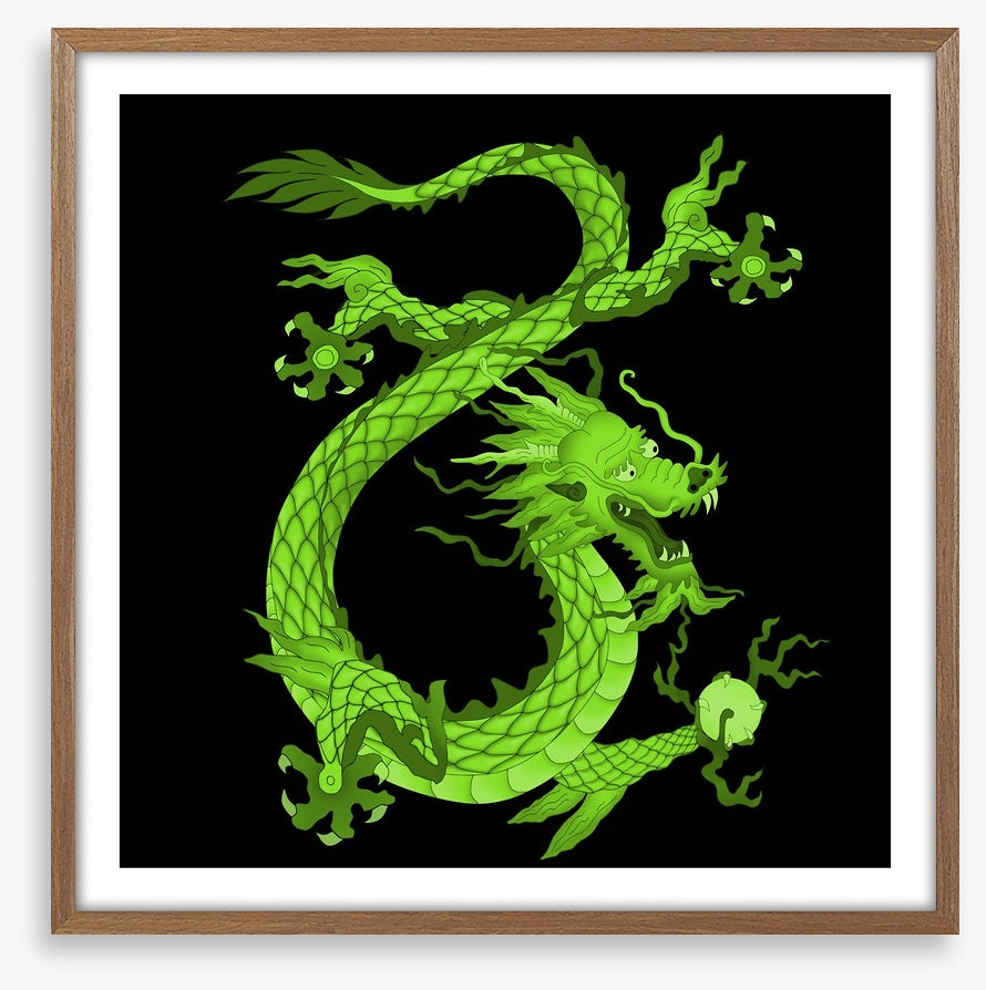Dragons