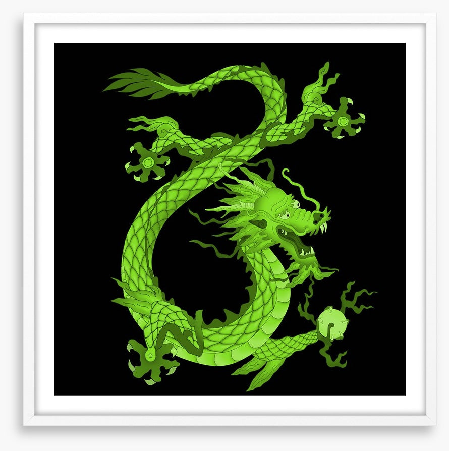Dragons