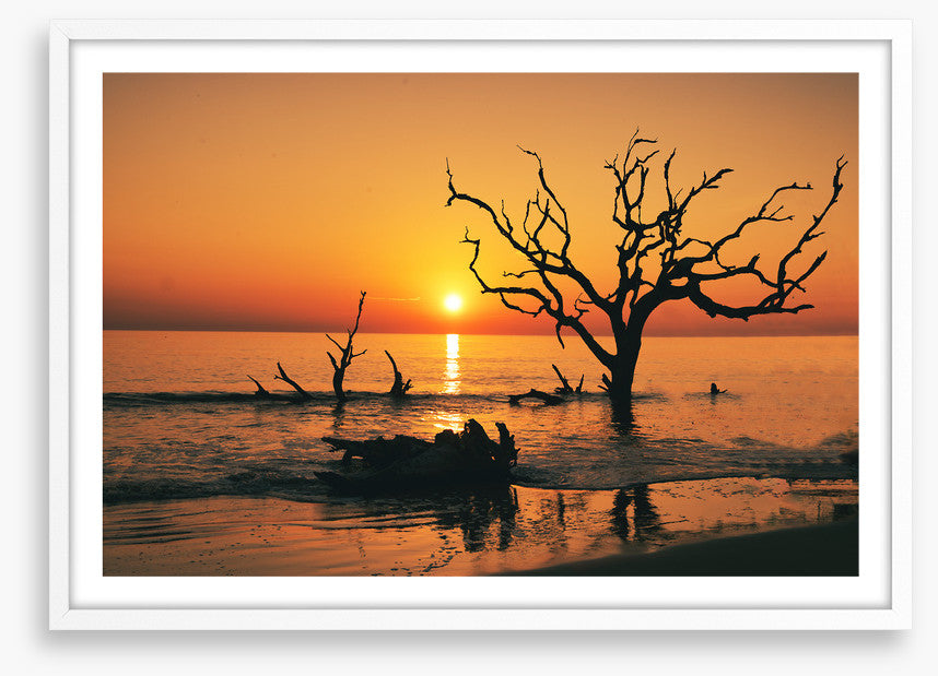 Driftwood Beach silhouettes
