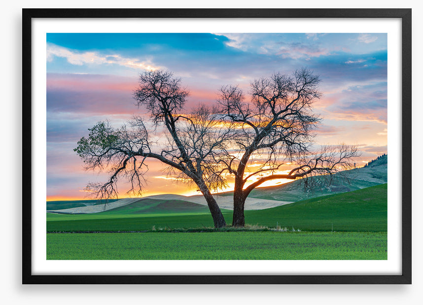 Cottonwood country