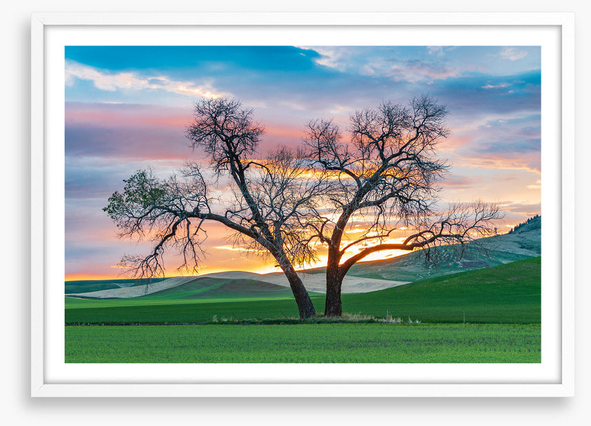 Cottonwood country
