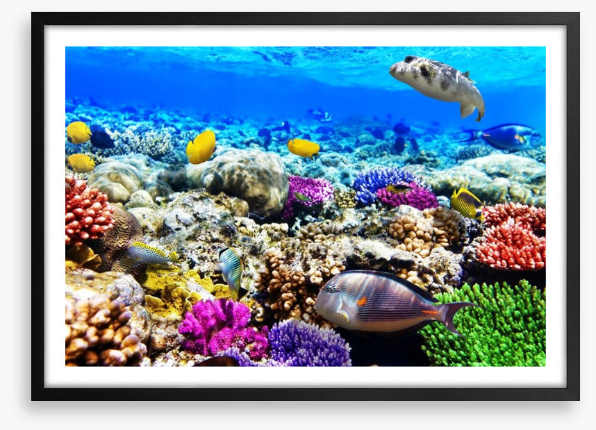 Life underwater
