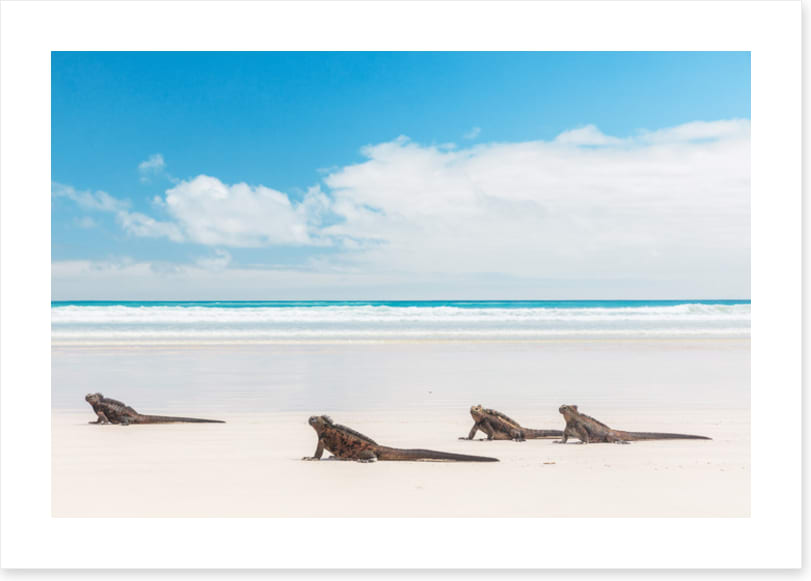 South America