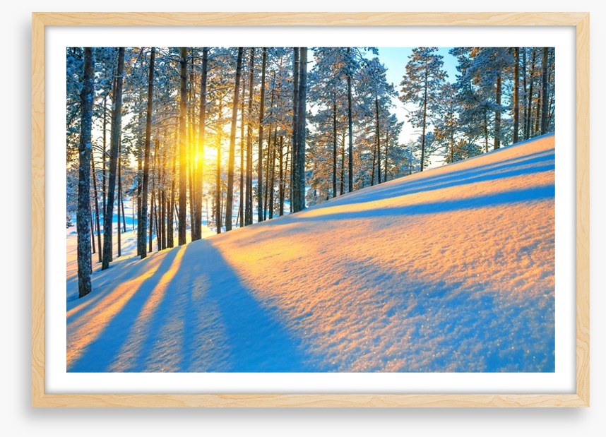 Rays of the setting sun