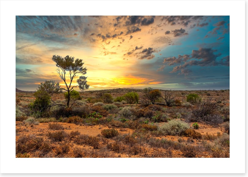 Sunset in the scrub